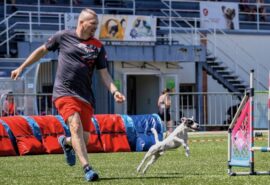 Karl „Charly“ Lichtenauer